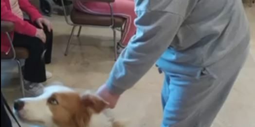 pata