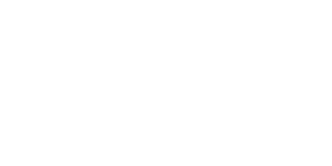 Logo Plena Inclusion